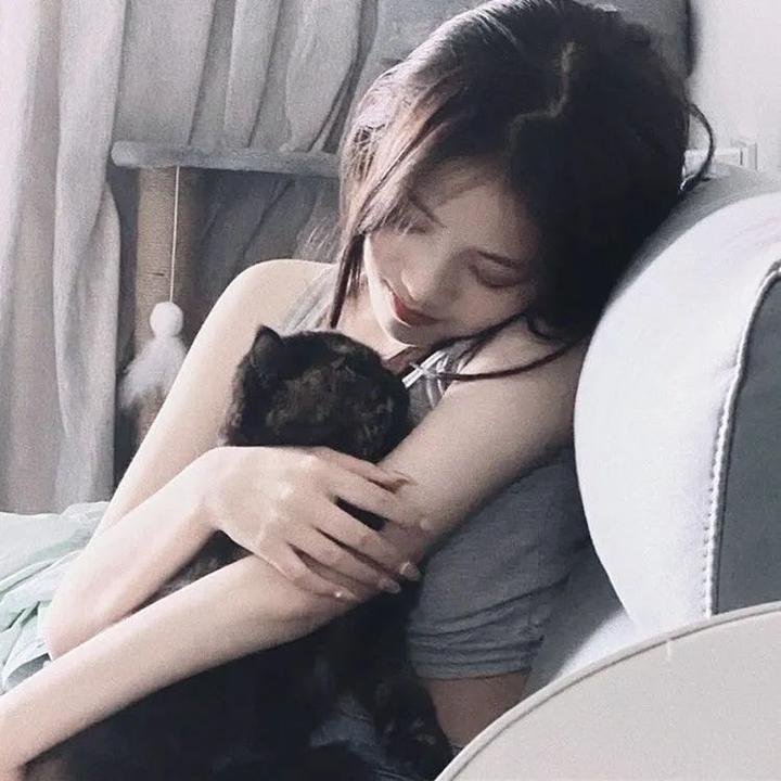无为大师第三季